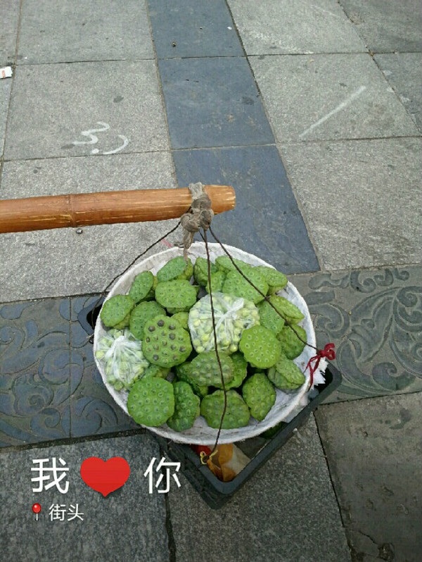 莲蓬