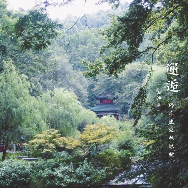 爱晚亭