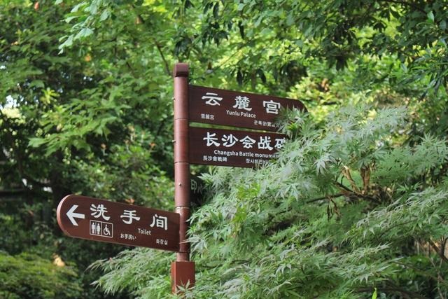 岳麓山