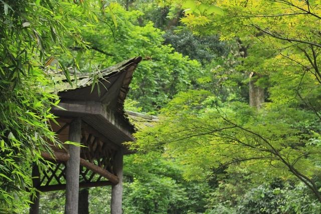 岳麓山一景