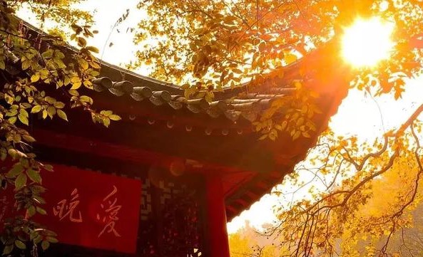 市长胡忠雄：在长沙的秋韵里幸福相约