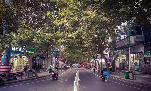 长沙城中林荫大道，梓园路的前世今生