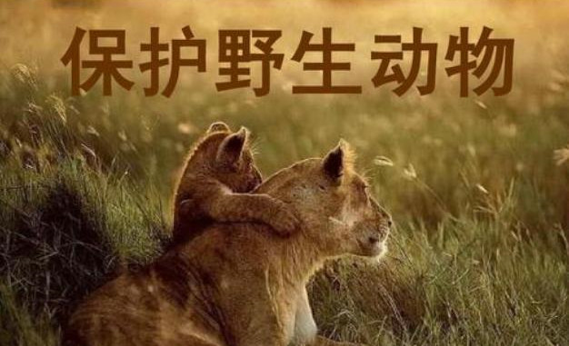 长沙市中心也曾有野味一条街？