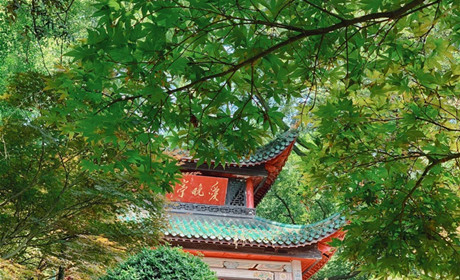 游记 | 岳麓书院 爱晚亭