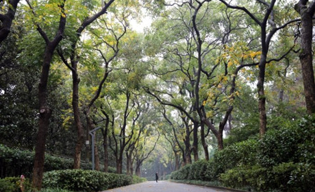 行走路上：我的长沙印象之烈士公园