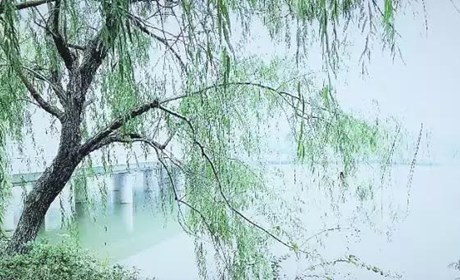 原来你对长沙冬天的印象都是假的？