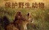 长沙市中心也曾有野味一条街？