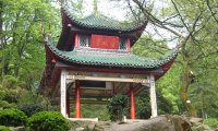 杨芳散文：长沙印象