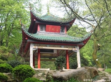 杨芳散文：长沙印象