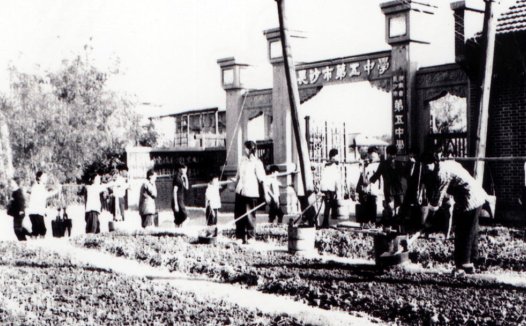 1953年雅礼中学刚搬到枫树山，大门口都种满了菜