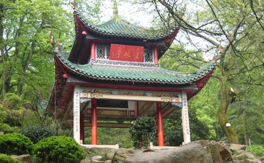 杨芳散文：长沙印象