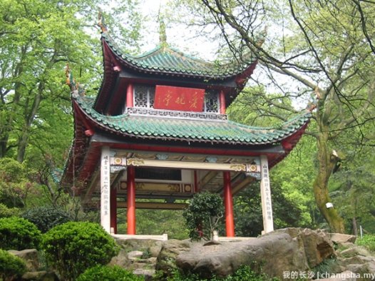 杨芳散文：长沙印象